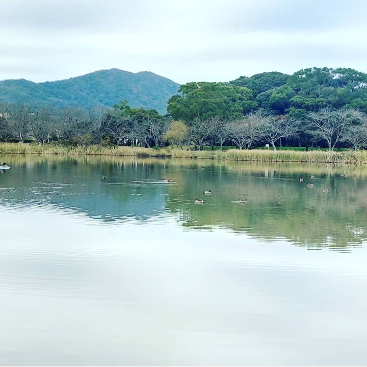 Lake