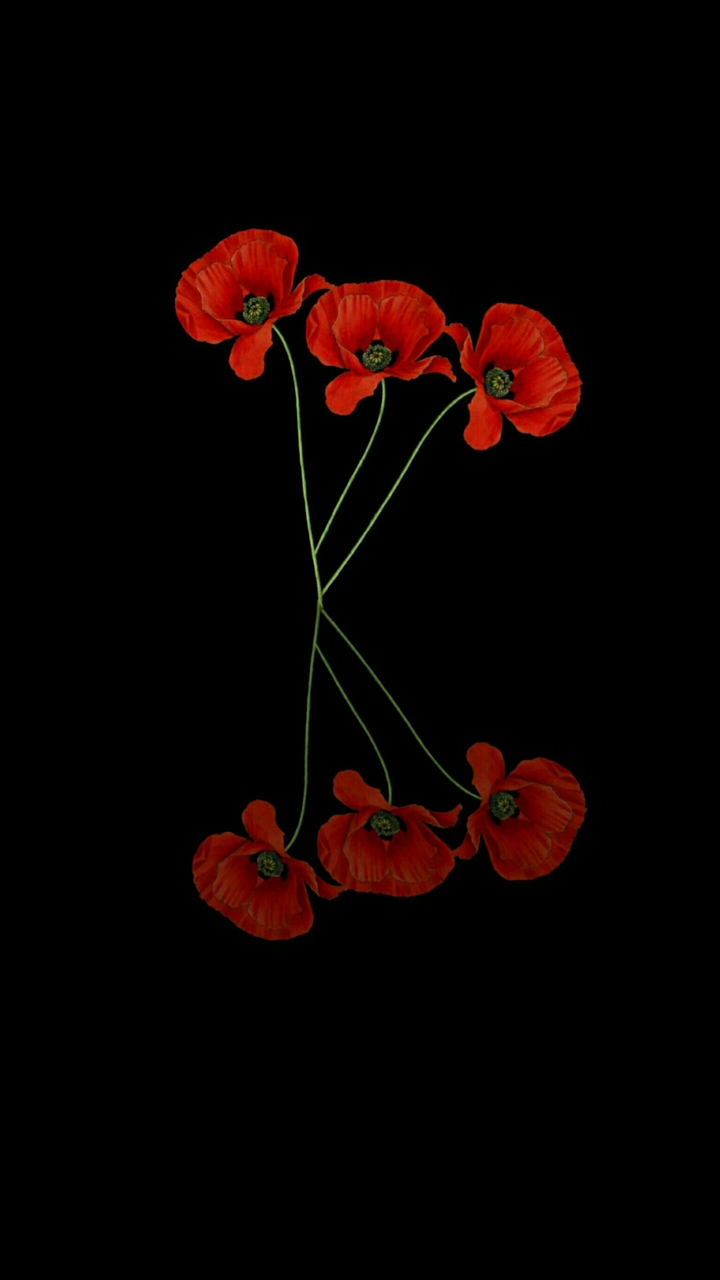 Artistic flowers 322