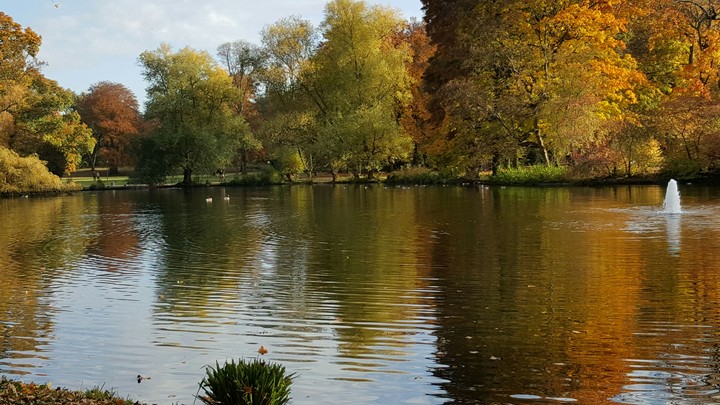 Lake