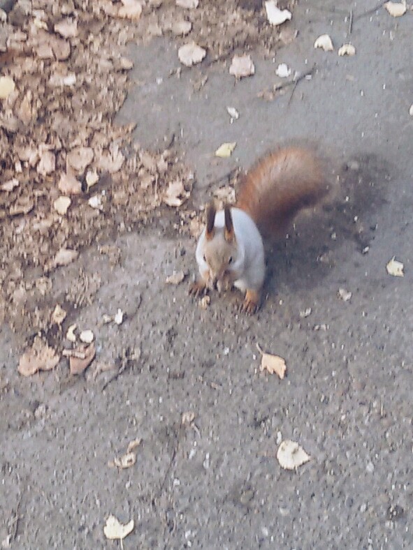 In the park