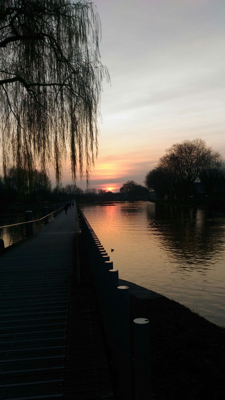 spring is coming