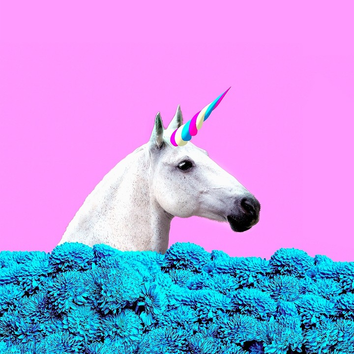 El unicornio