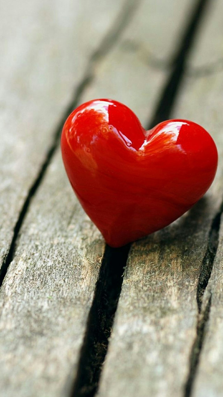 love♥