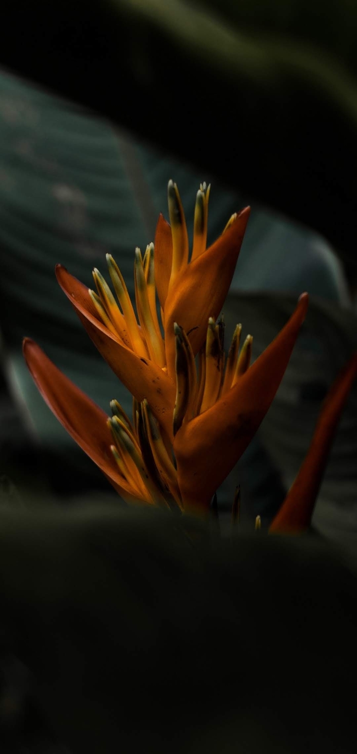 ?