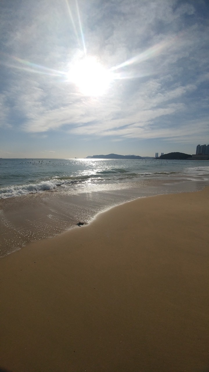 부산바다