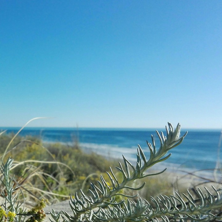 Ocean View