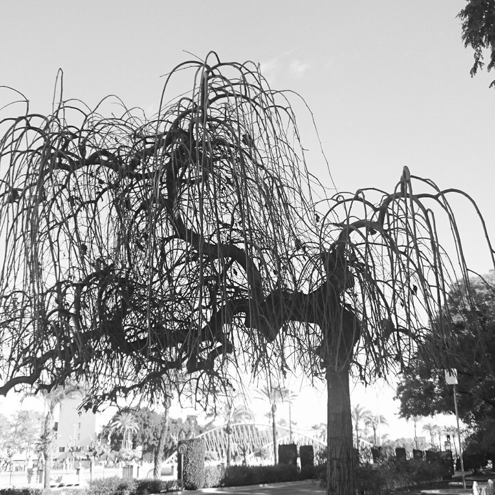 Naturaleza hibernando