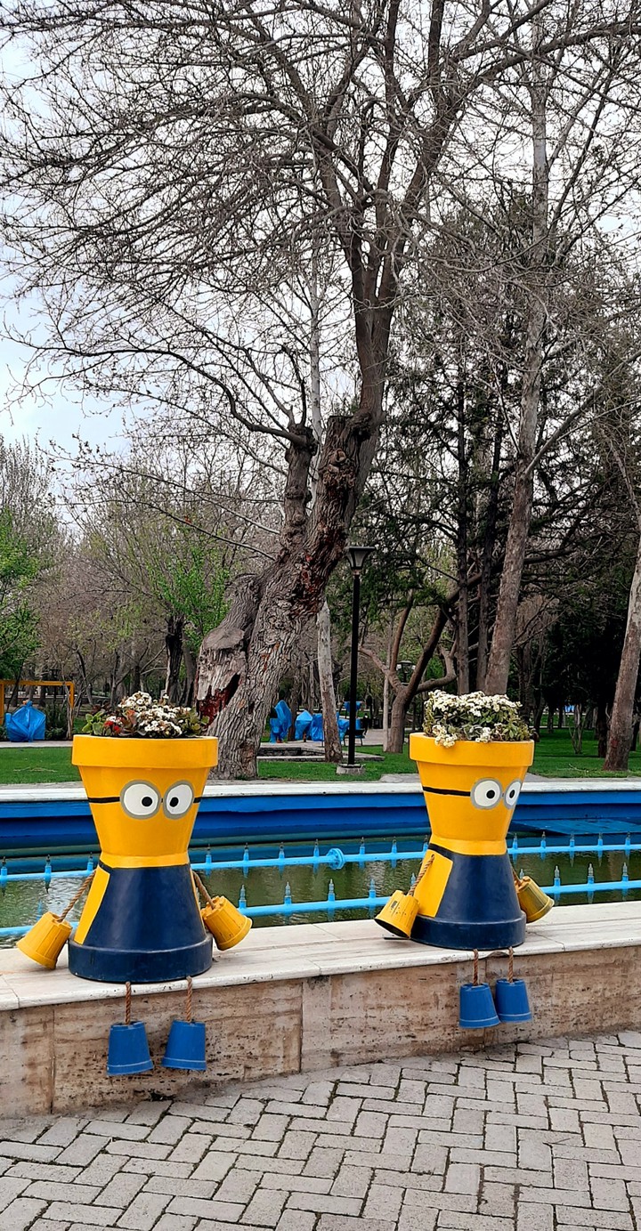 گلدانهای مینوتی
