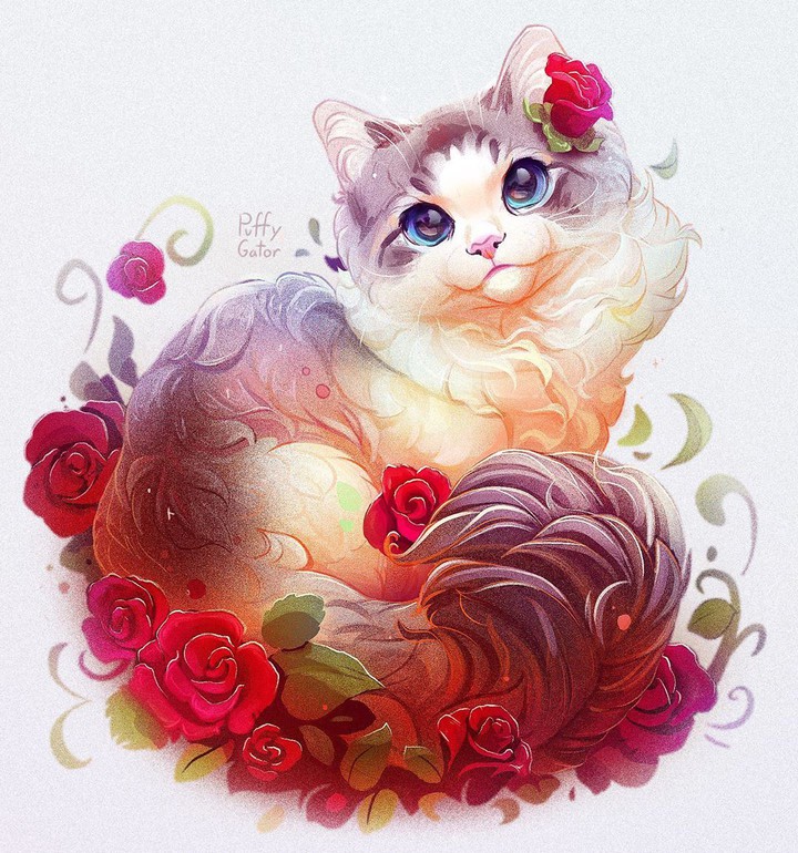 cat