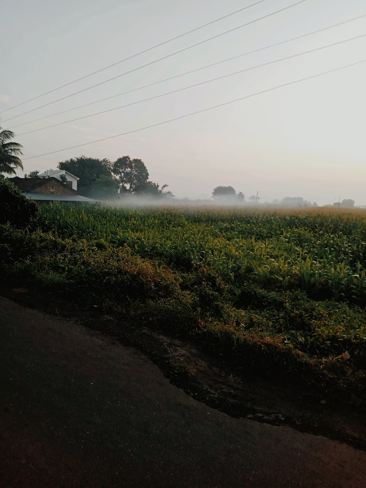 morning magic