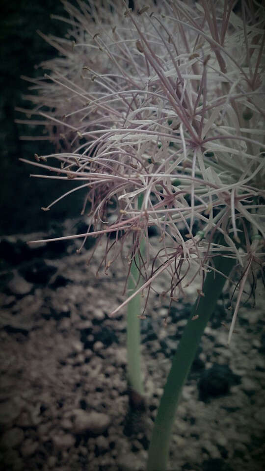 Photography