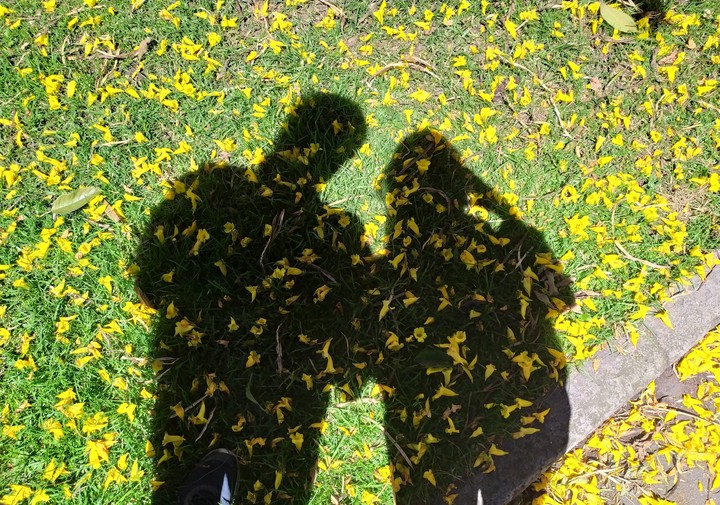 Shadows