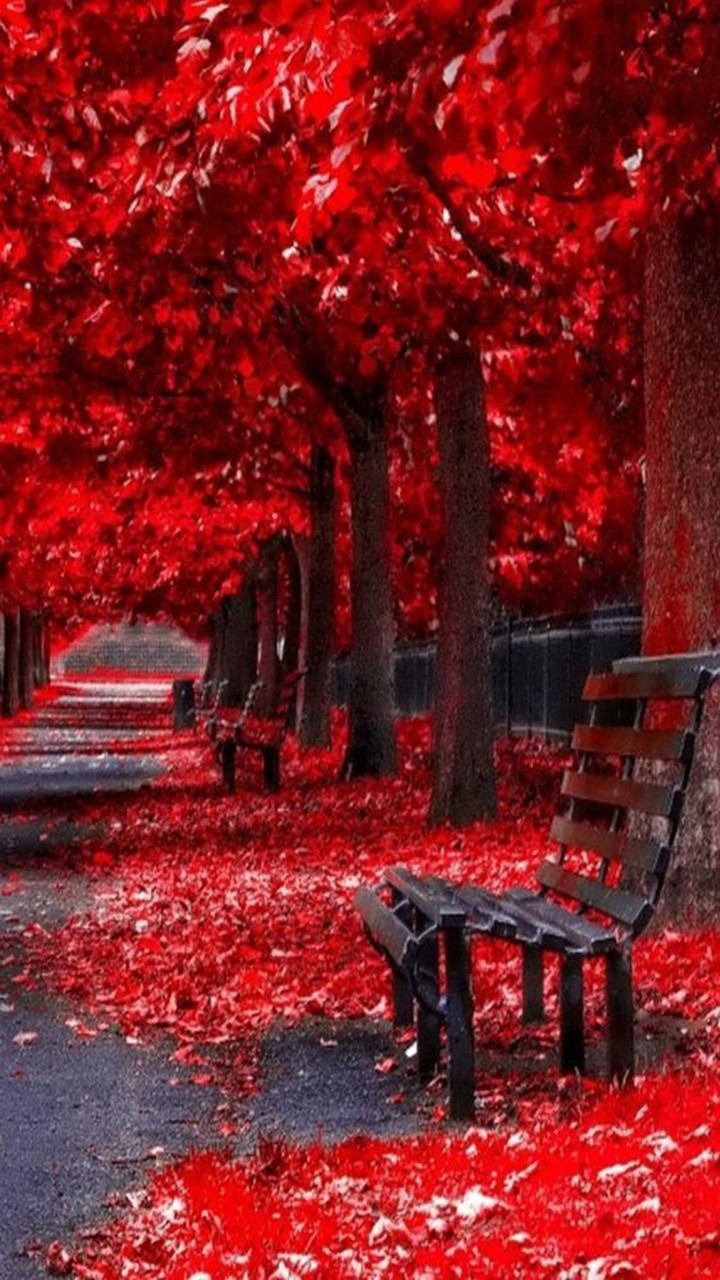 Red Landscape Garden