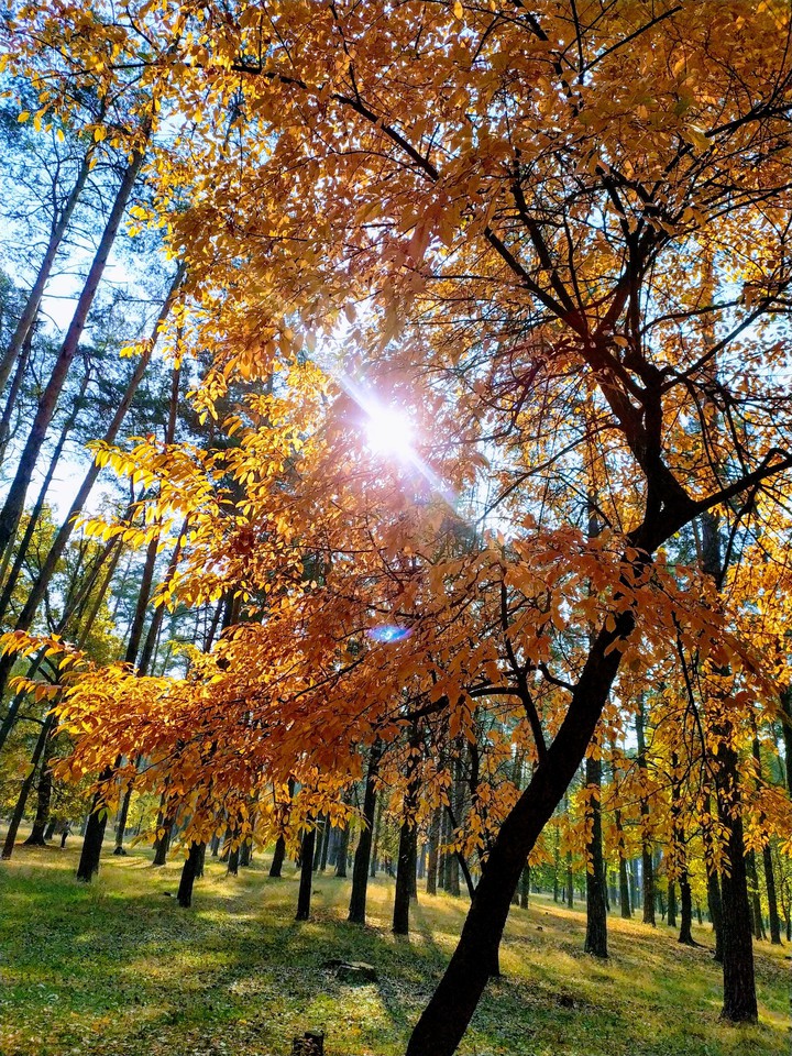 Autumn