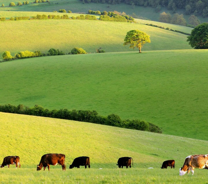 naturelove
