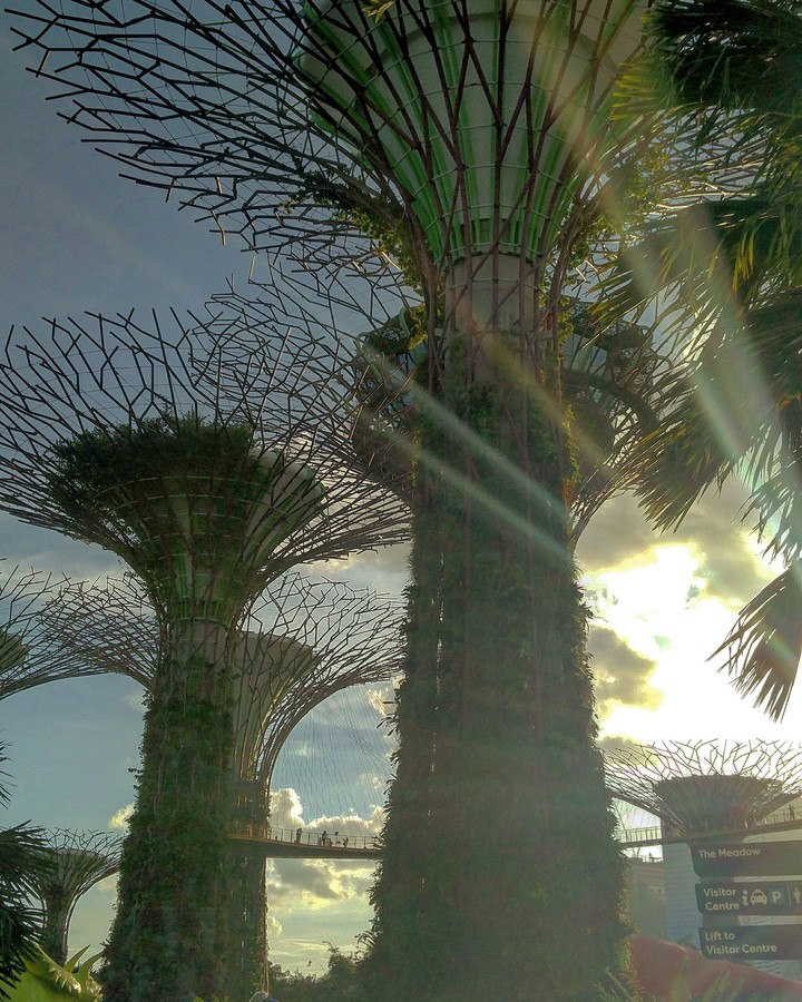 Gardens by the Bay