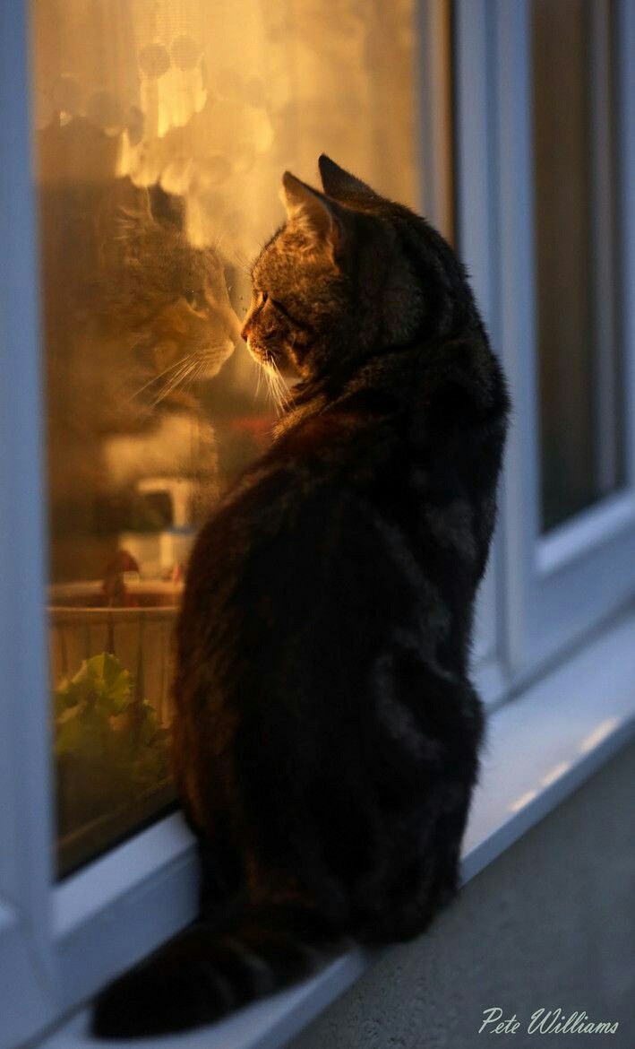 I'm waiting for you...❤