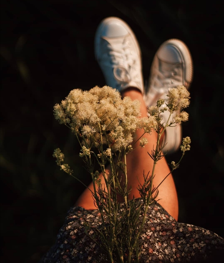 ✨
