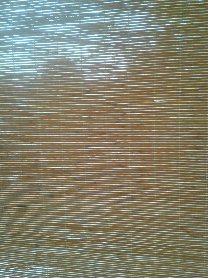 holz