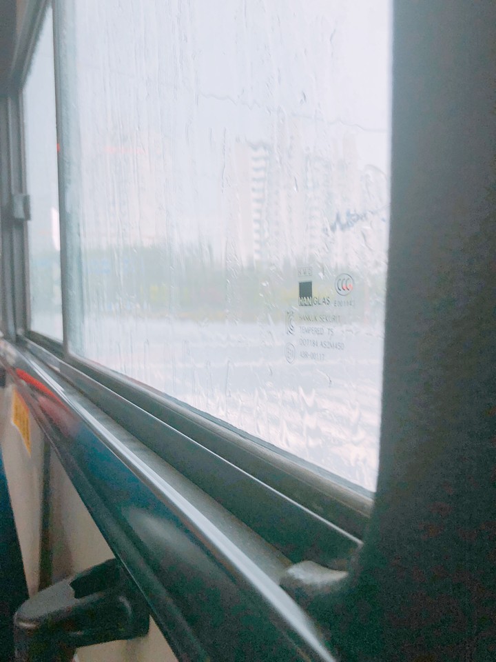 Window