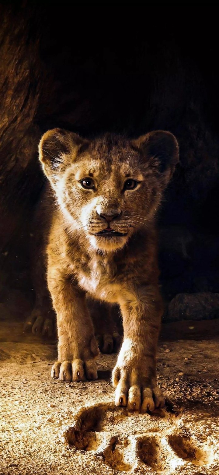 little roar