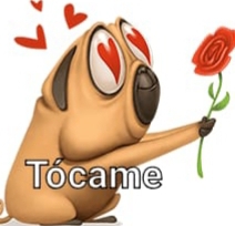 el amor