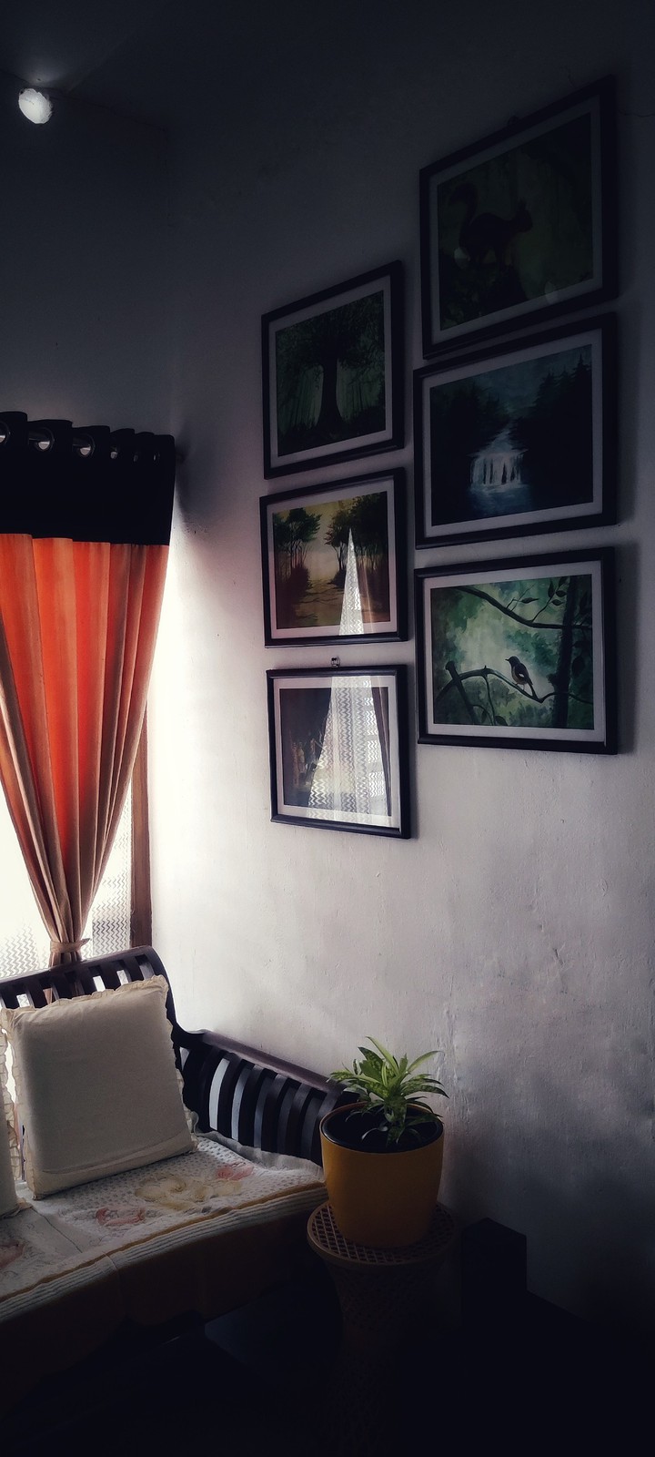 The Window