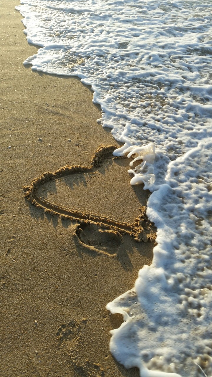 heart