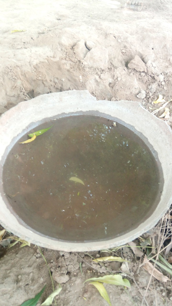 water