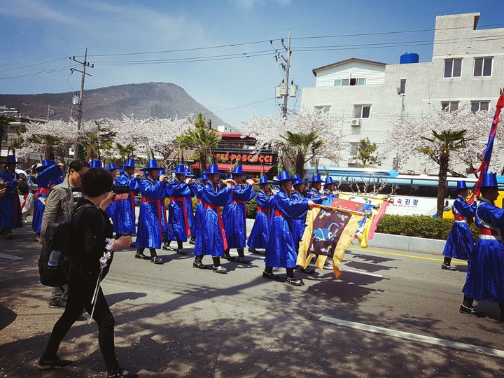 군항제