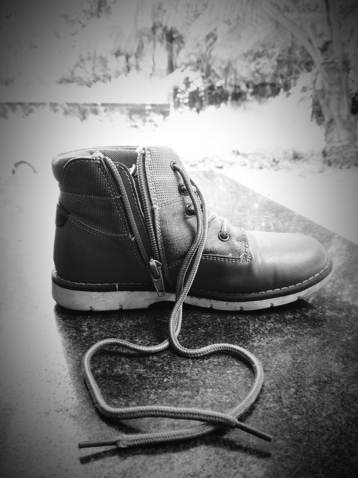 shoe