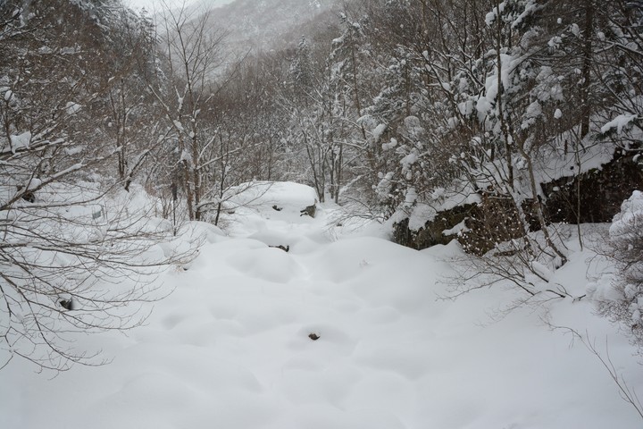 태백산이미지