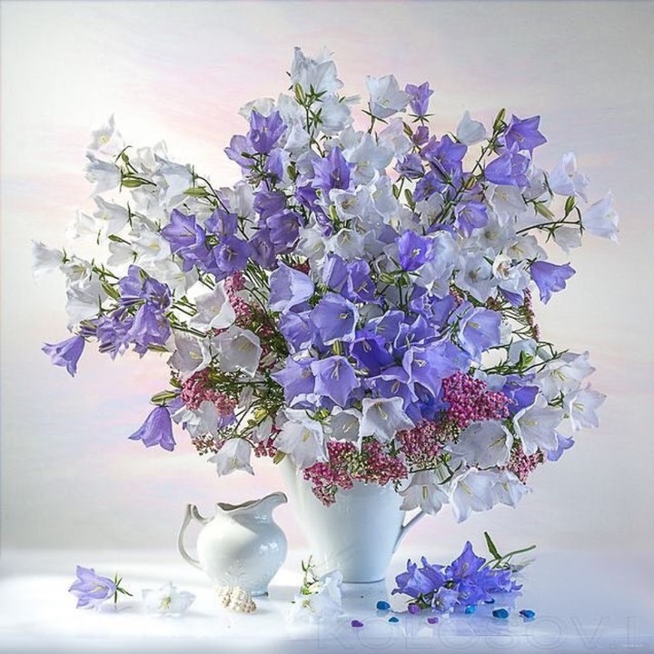 Bluebells