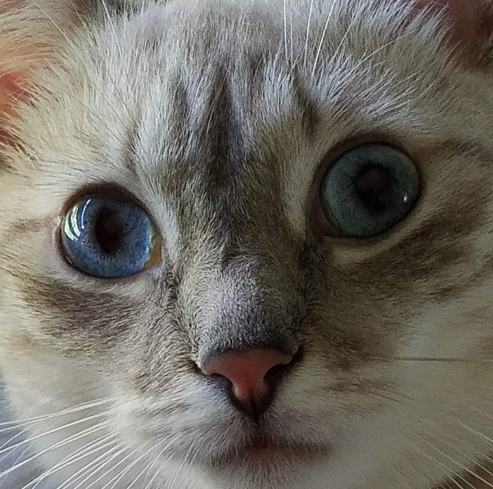 Nina
