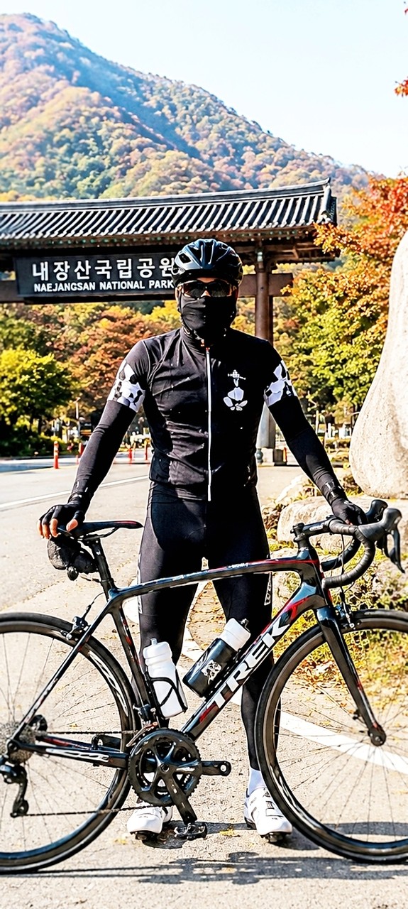 tapety bycycle, bicycle