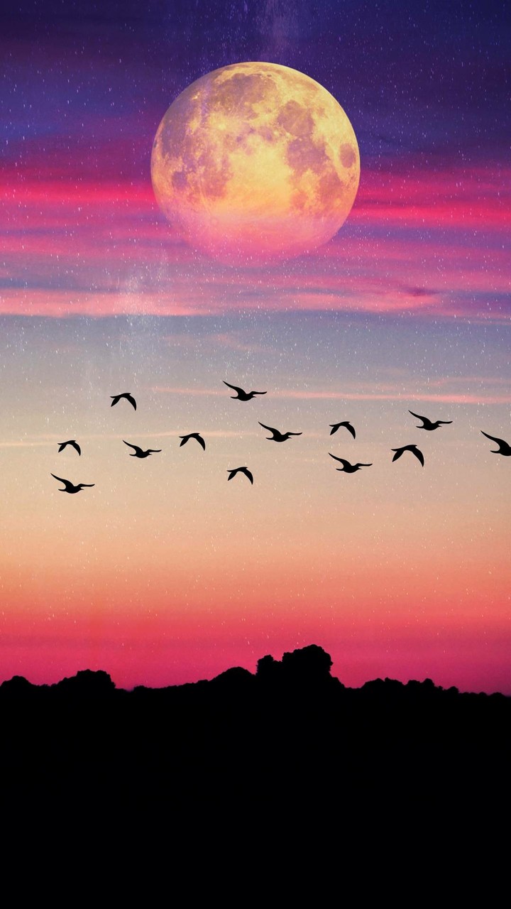 Paisagem