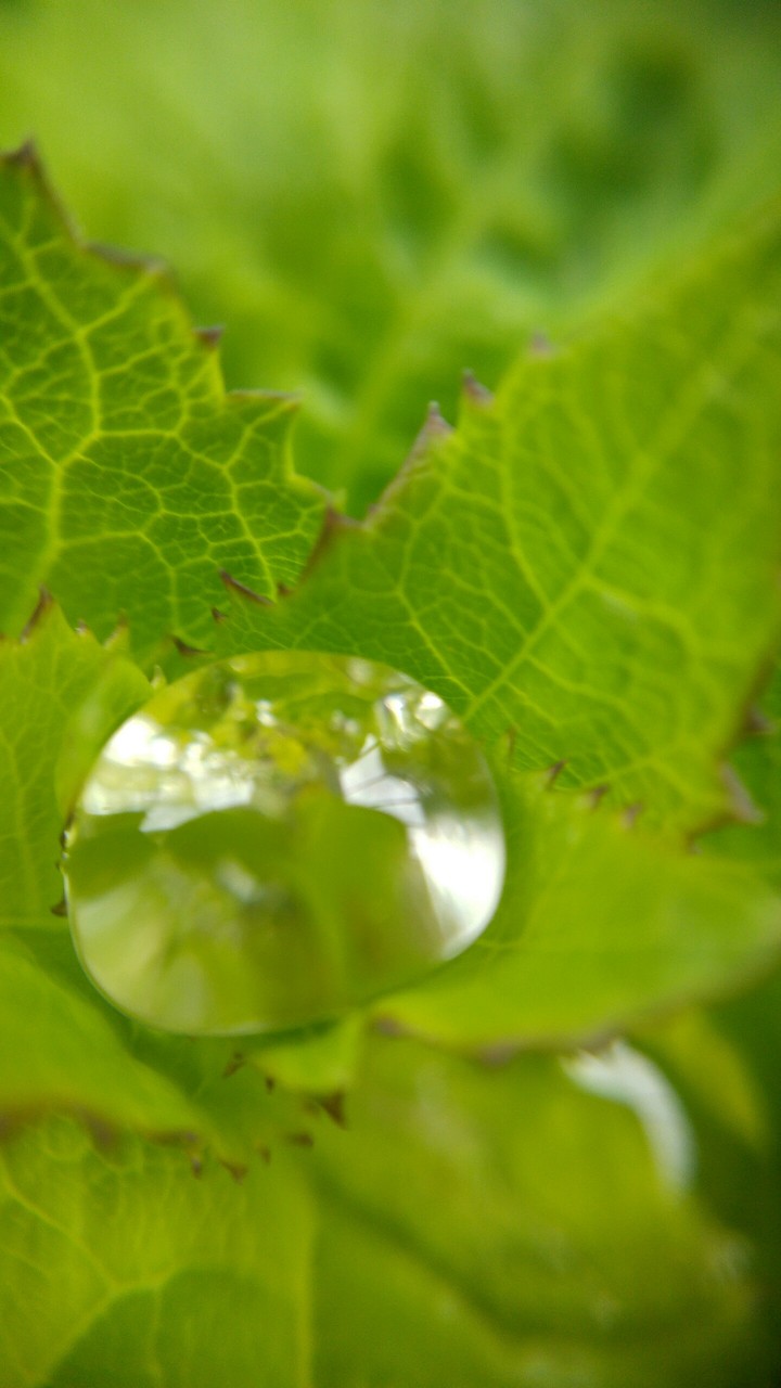 goccia d'acqua