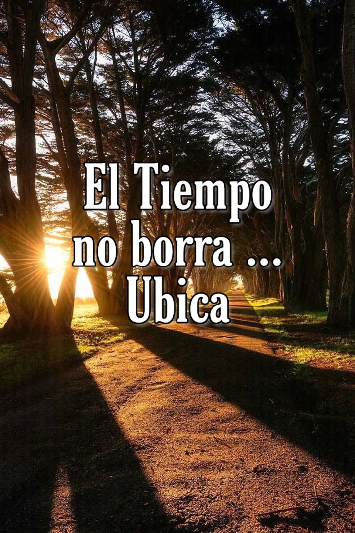 #Bosque #Sunset #Forest #Trees #Sun #Time #Campo #Atardecer