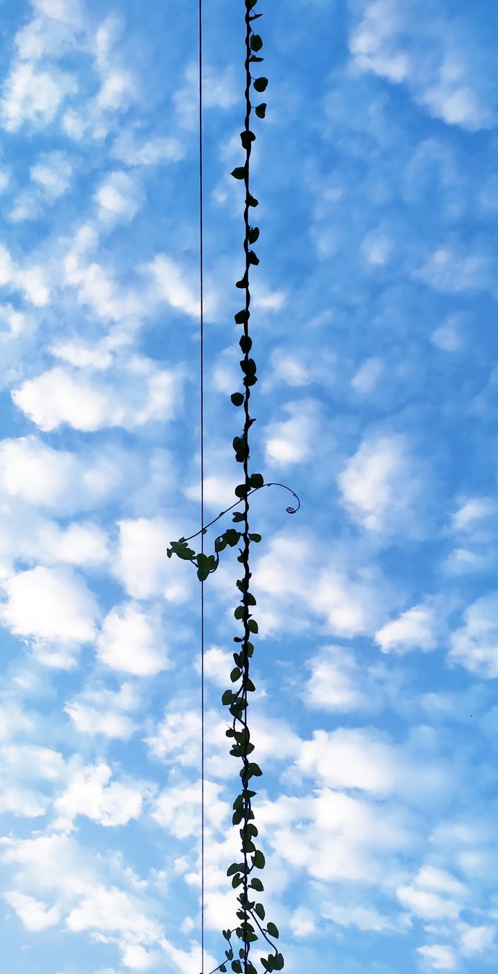 sky
