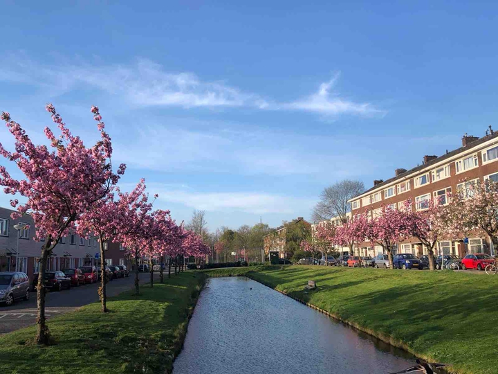 spring