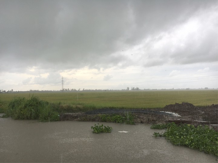 rain