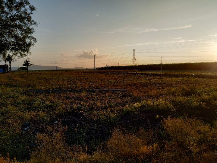 nature_sande