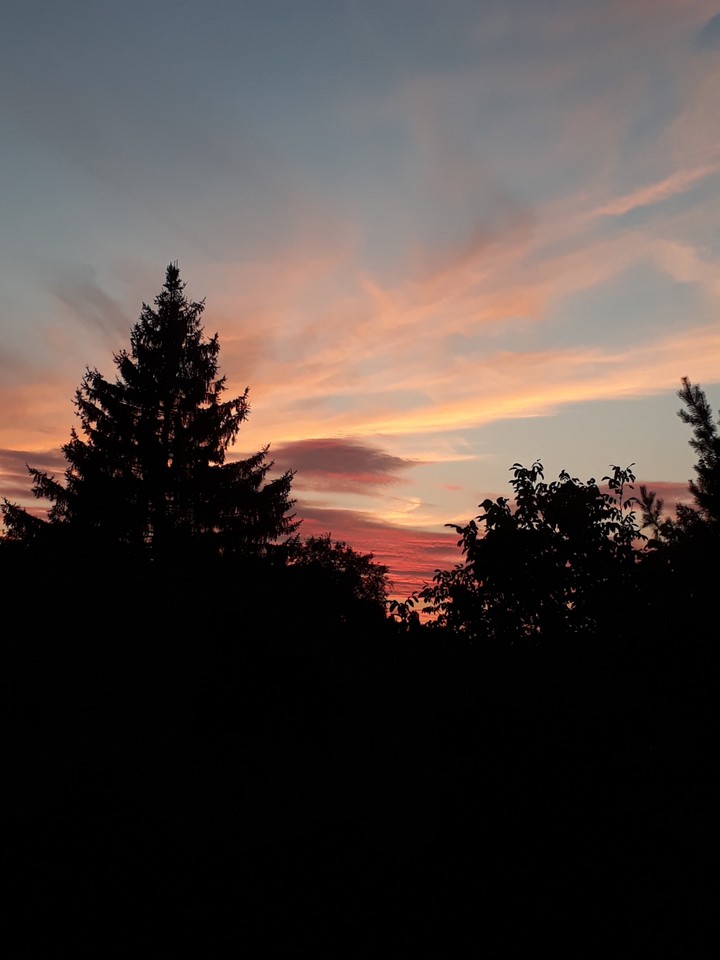 Evening