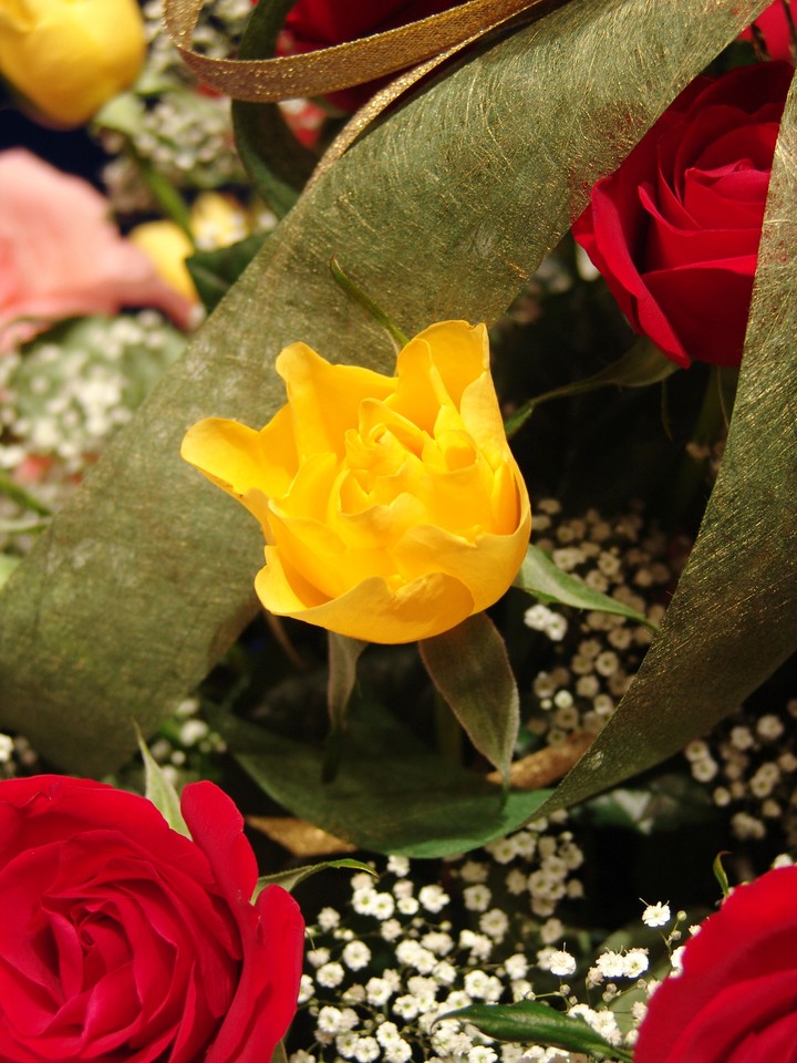 Flower