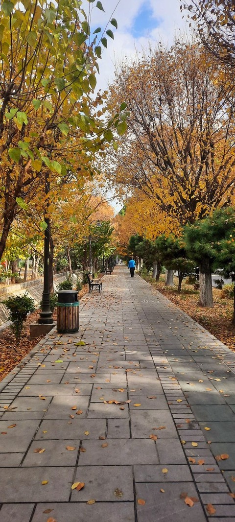 Good morning autumn!