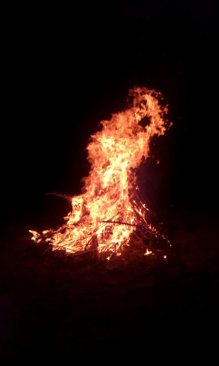 Flames of HOLI