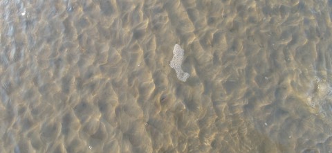 sea