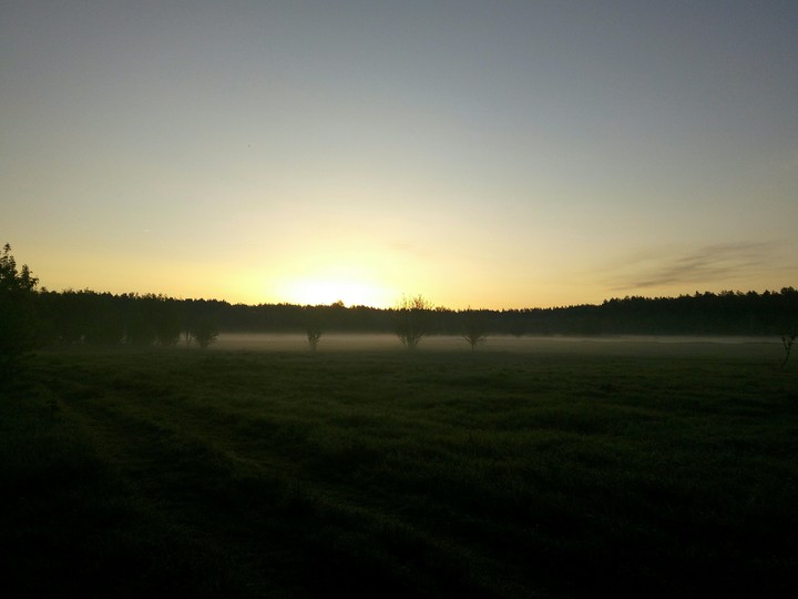 New day is coming
