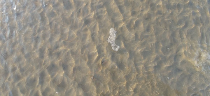 sea