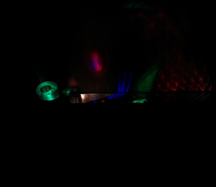 Electric fish